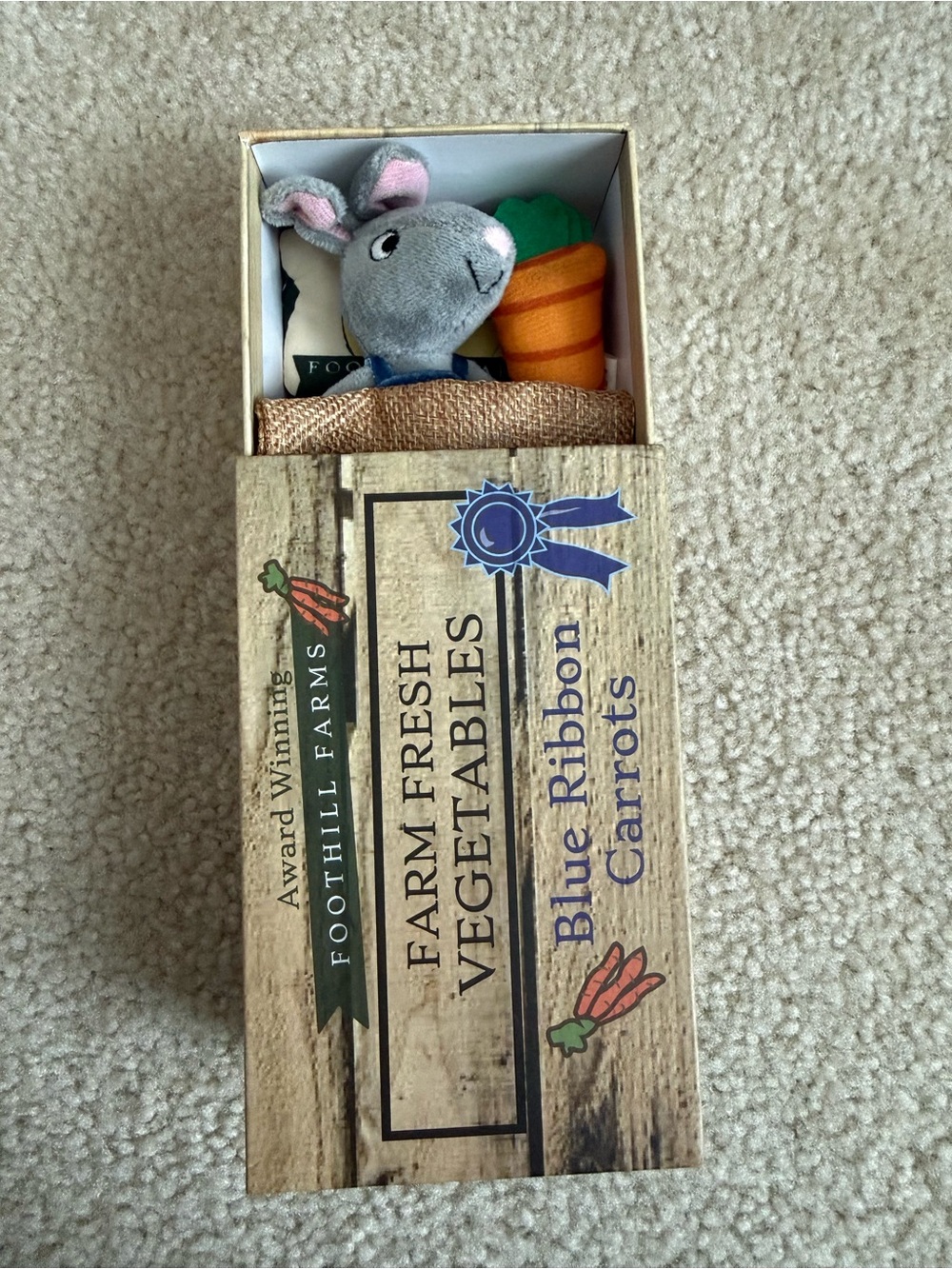 Foothill Bunny in Garden Box Toy
